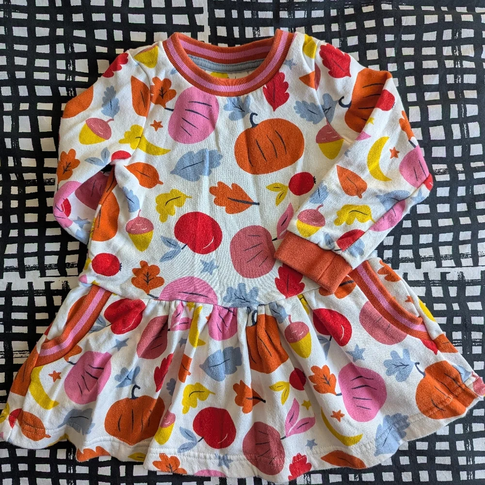 Mini Boden Fall Long Sleeve Dress
